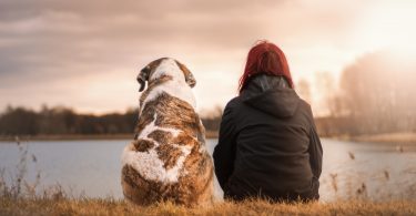 eine Person in schwarzer Jacke und ein großer braun-weißer Hund die beide am Ufer eines Sees sitzen