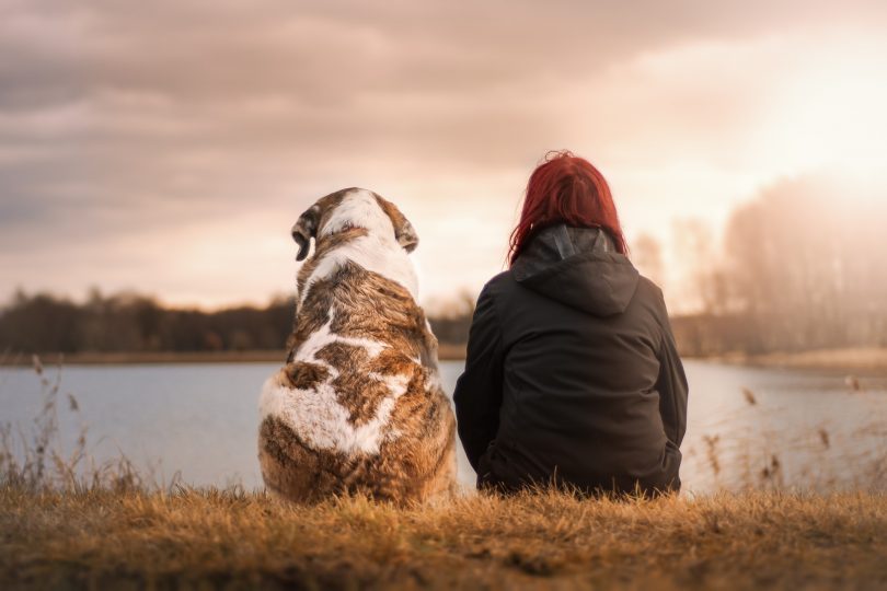 eine Person in schwarzer Jacke und ein großer braun-weißer Hund die beide am Ufer eines Sees sitzen