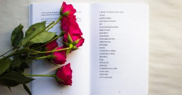 ein offenes Buch mit einem Liebesgedicht in englisch und sieben roten Rosen darauf