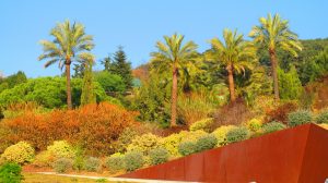 der botanische Garten im Herbst in gelb, rot und orangenen Farben, im Hintergrund einige Palmen und Tannenbäume
