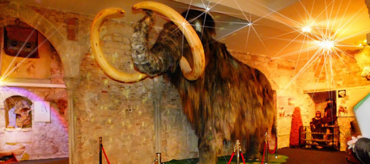 Ein Mammut in Originalgrösse im Museum
