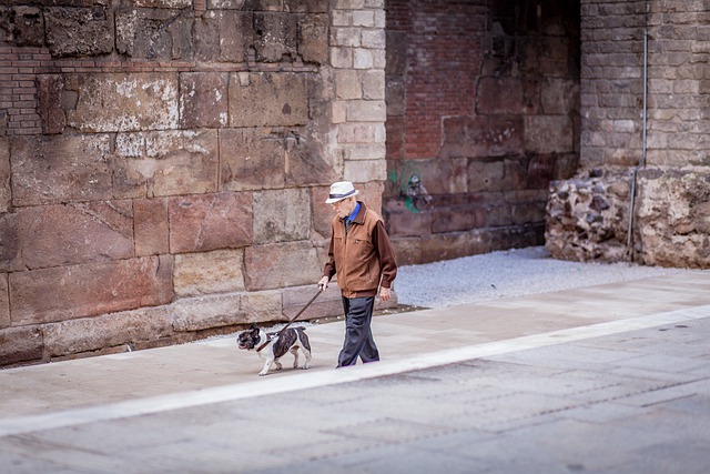 Mann spaziert seine doge durch die Gassen Barcelonas