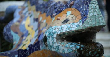 frintaufnahme von dem berühmten Mosaikgeko