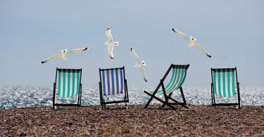 drei Strandstühle an einem Strand nebeneinander Gestell, drei grüne und ein blauer, mit vier Möwen die darüber fliegen