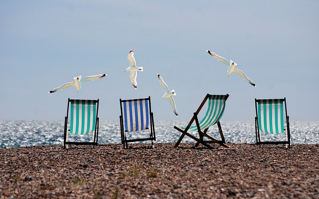 drei Strandstühle an einem Strand nebeneinander Gestell, drei grüne und ein blauer, mit vier Möwen die darüber fliegen