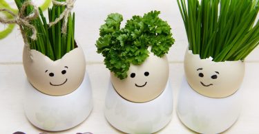 drei Eier mit netten Gesichtern darauf gemalt und mit Schnittlauch und Petersilie bepflanzt