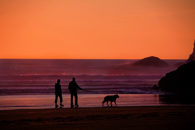 zwei personen die ihren hund bei sonnenuntergang am strand spazieren führen