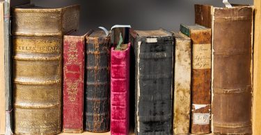 kleiner Ausschnitt eines Bücherregals mit verschiedenen alten und gebrauchten Bücher in braun, rot, schwarz und beige