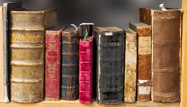 kleiner Ausschnitt eines Bücherregals mit verschiedenen alten und gebrauchten Bücher in braun, rot, schwarz und beige