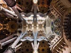 Foto in direktem winkel von unten nach oben vom Gewölbe der Sagrada Familia