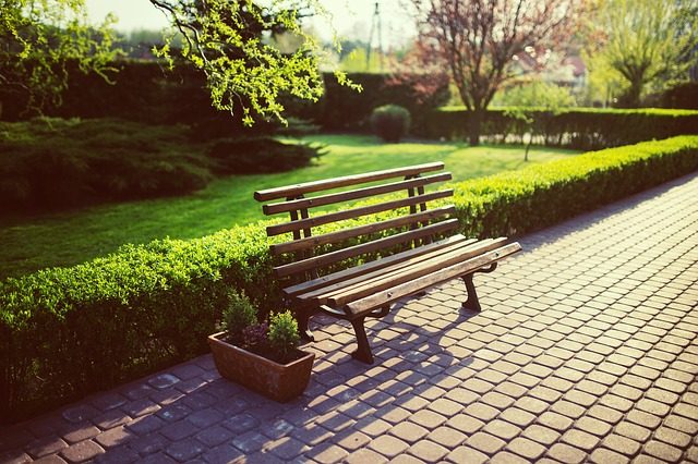 eine Bank in einem Park mit Sträuchern und Bäumen an einem sonnigen Tag