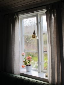 Man sieht von Innen aus dem Fenster, ein kleiner Blumentopf mit Rosinen Blumen steht auf der Fensterbank