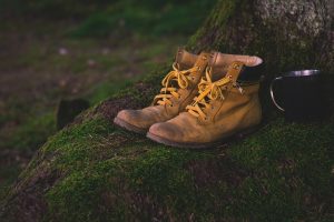 Ein Paar gelb-braune Wanderschuhe und ein schwarzer Trinkbecher auf einer grossen Baumwurzel
