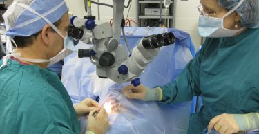 Arzt und Krankenschwester bei einer Kapillartransplantation mit modernster Technik