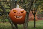 Ein Halloween Kürbis mit Zähnen aus Zahnstochern der zwischen den ästen eines Baumes festgeklemmt ist