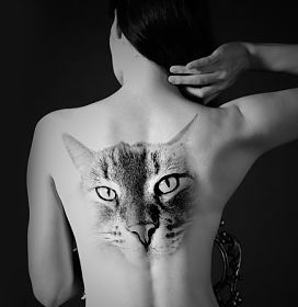 der Rücken einer weissen Frau mit schwarzen langen haare, auf der der Kipf einer Katze als Realismus tattoo ist