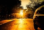eine breite Allee bei Sonnenuntergang mit Bäumen und Autos die an einer Ampel stehen