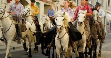 vier Männer und zwei Frauen die auf weißen und braunen Pferden durch die Straße reiten