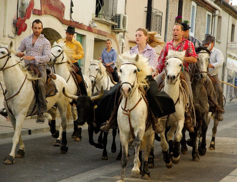 vier Männer und zwei Frauen die auf weißen und braunen Pferden durch die Straße reiten