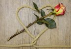 ein beiges Seil in Herzform mit einer rot-gelben Rosen die darin wie ein Pfeil platziert ist