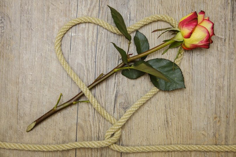 ein beiges Seil in Herzform mit einer rot-gelben Rosen die darin wie ein Pfeil platziert ist