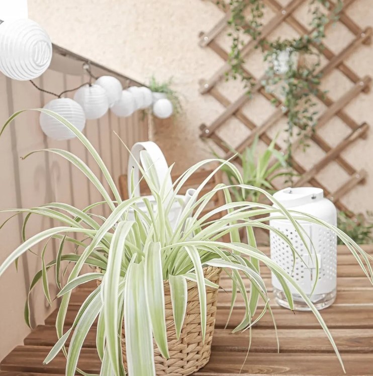 Balkon mit Pflanzen und vertikalen Elementen