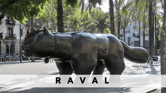 Mieten Sie eine Wohnung in  Raval